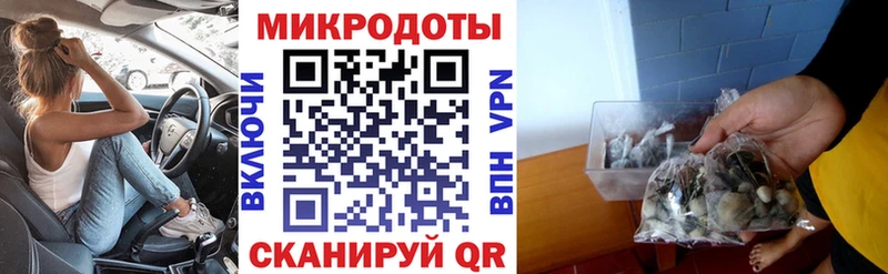 Купить Дубовка Галлюциногенные грибы ЛСД