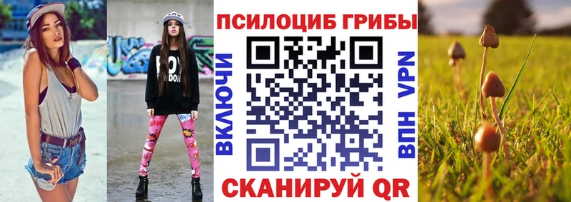 Псилоцибиновые грибы прущие грибы Дубовка